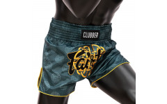 Шорты для бокса Fairtex BS1915 L