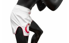 Шорты для бокса Fairtex BS1918 M