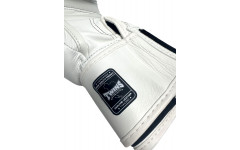 Боксерские перчатки Twins Special BGVL3 white 10 oz