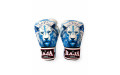 Боксёрские перчатки Raja Leo Frost 10 oz