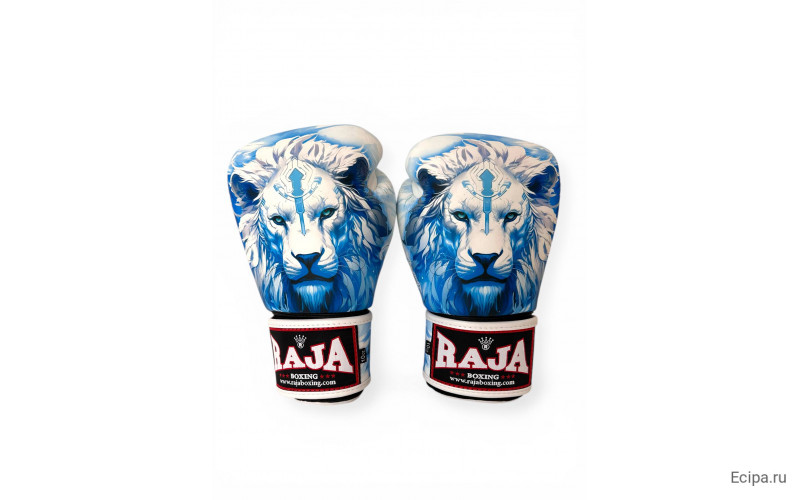 Боксёрские перчатки Raja Leo Frost 10 oz