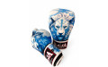 Боксёрские перчатки Raja Leo Frost 10 oz
