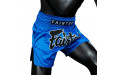 Шорты для бокса Fairtex BS1935 SAPPHIRE - XL