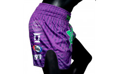 Шорты для бокса Fairtex BS1922 Racer XL