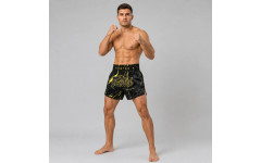 Шорты для бокса Fairtex BS1947 - 2XL
