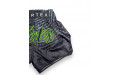 Шорты для бокса Fairtex BS1924 Racer black S