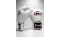 Боксерские перчатки Twins Special BGVL3 white 16 oz