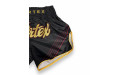 Шорты для бокса Fairtex BS1925 Mr.X - XL